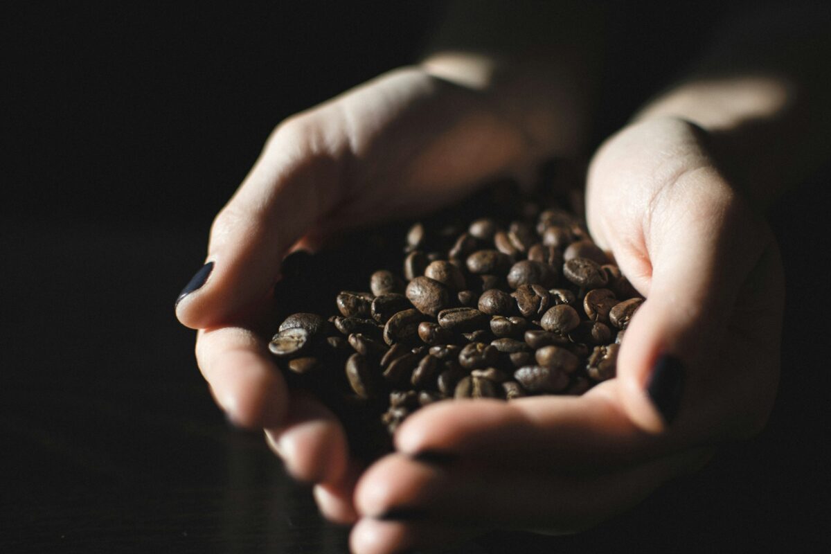 Hands holding freshly roasted coffee beans