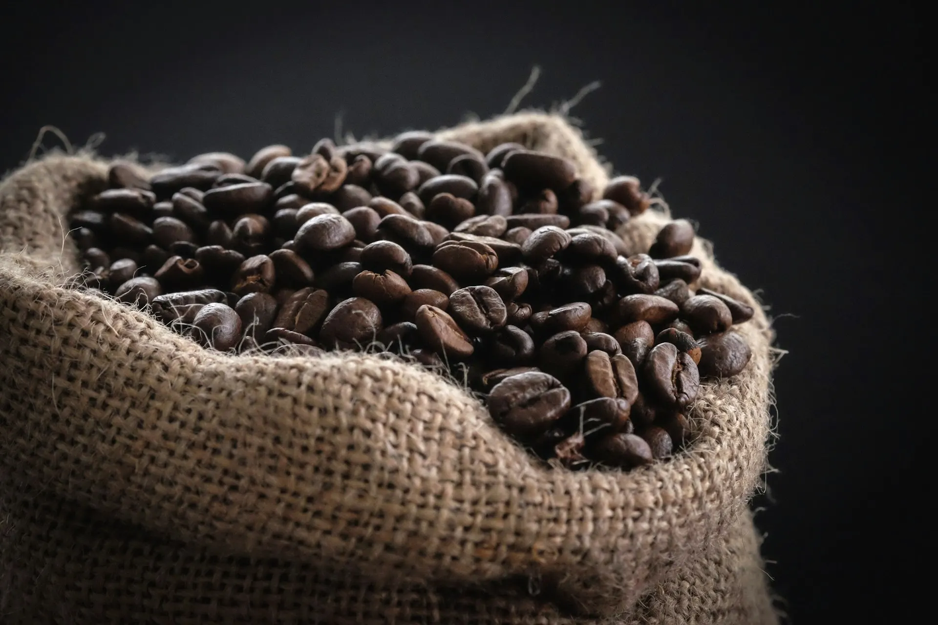 Roasted coffee beans in a burlap sack